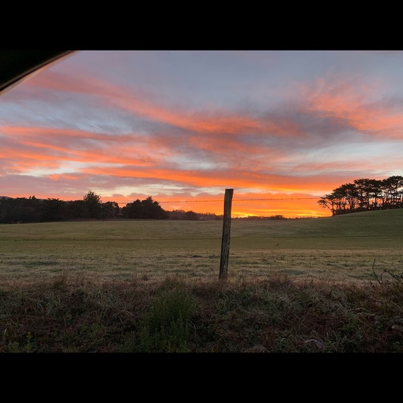 Meet your Posher, Nancy - Picture 7 of 7